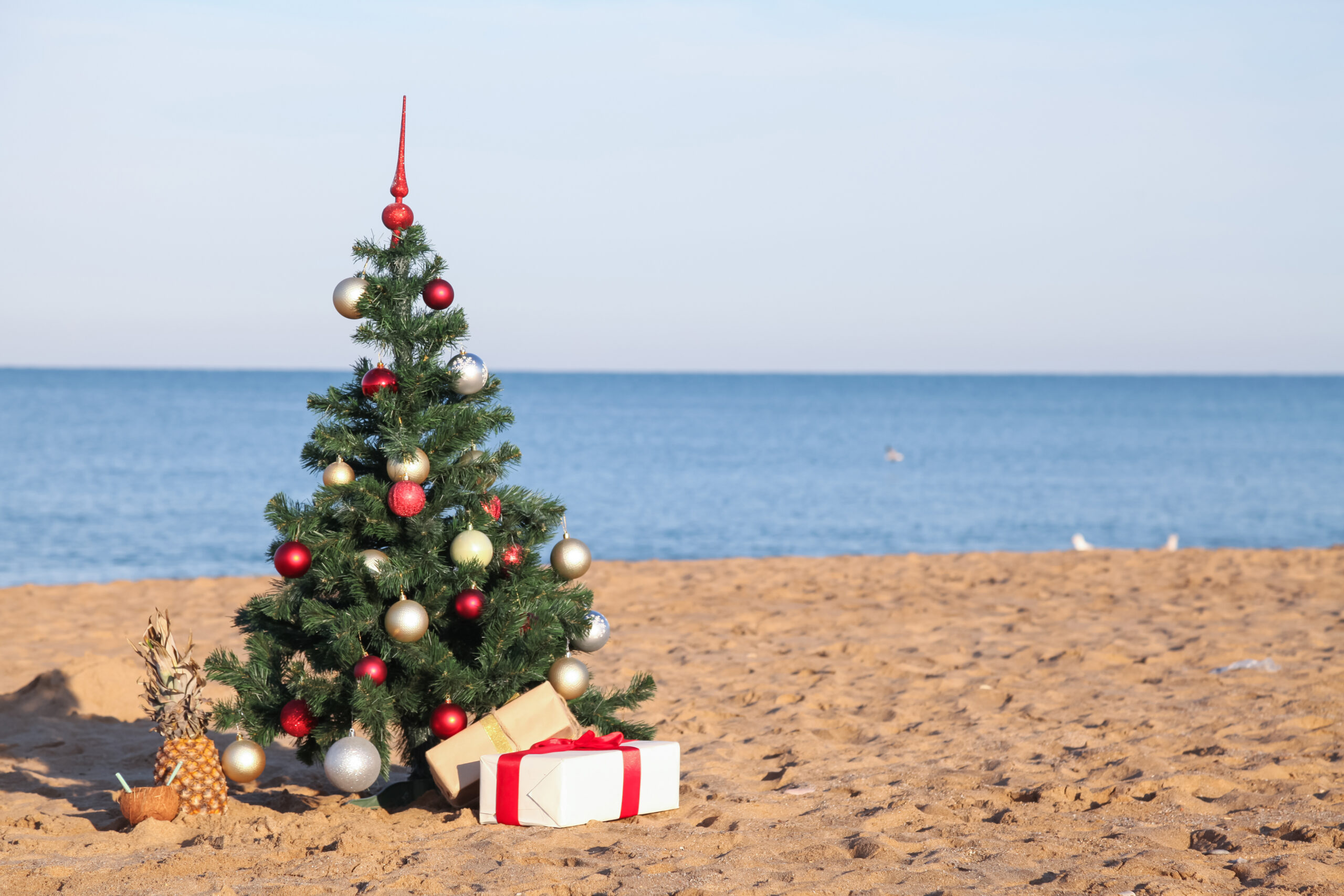 Christmas tree on a beach.
