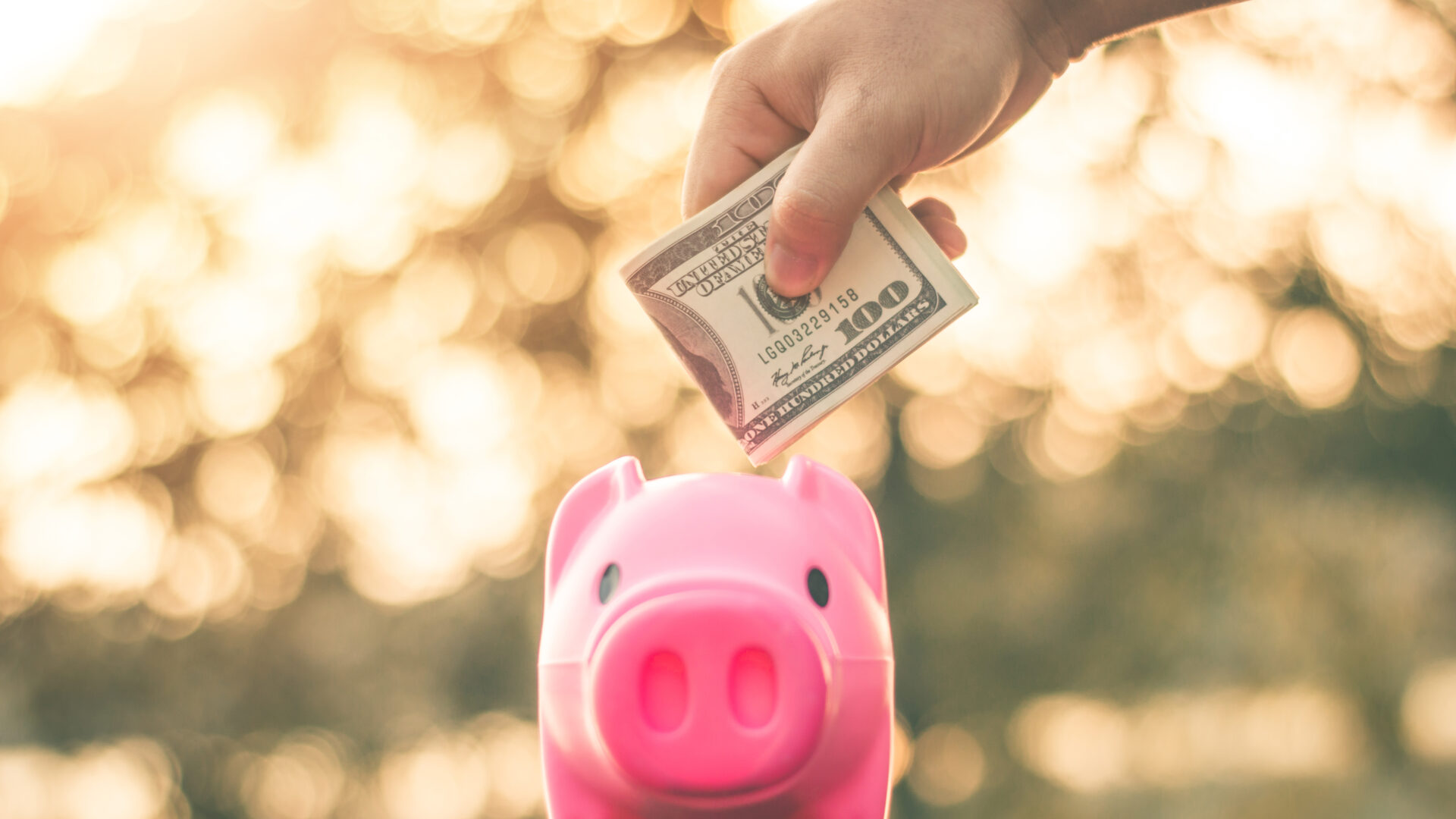 Money going into piggy bank.